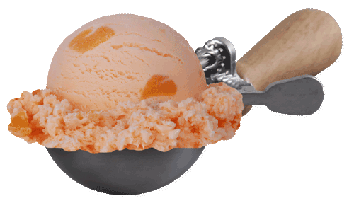 Scoop of Peachy Peach